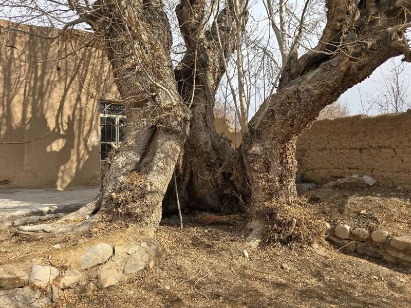 ثبت ملی 2 اثر طبیعی یزد