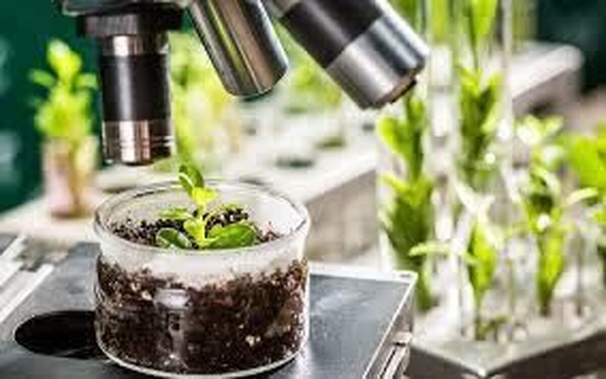 کلینیک تخصصی گیاه‌پزشکی دانشگاه آزاد یزد آماده خدمات‌دهی به کشاورزان و باغداران