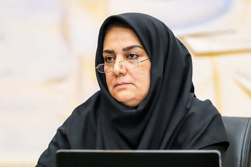 مشارکت عمومی–خصوصی؛ حلقه مفقوده رونق اقتصادی در یزد